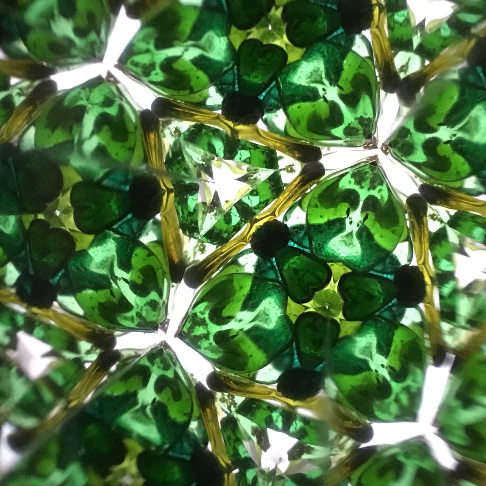 Girios kaleidoskopaS „Forest kaleidoscope“