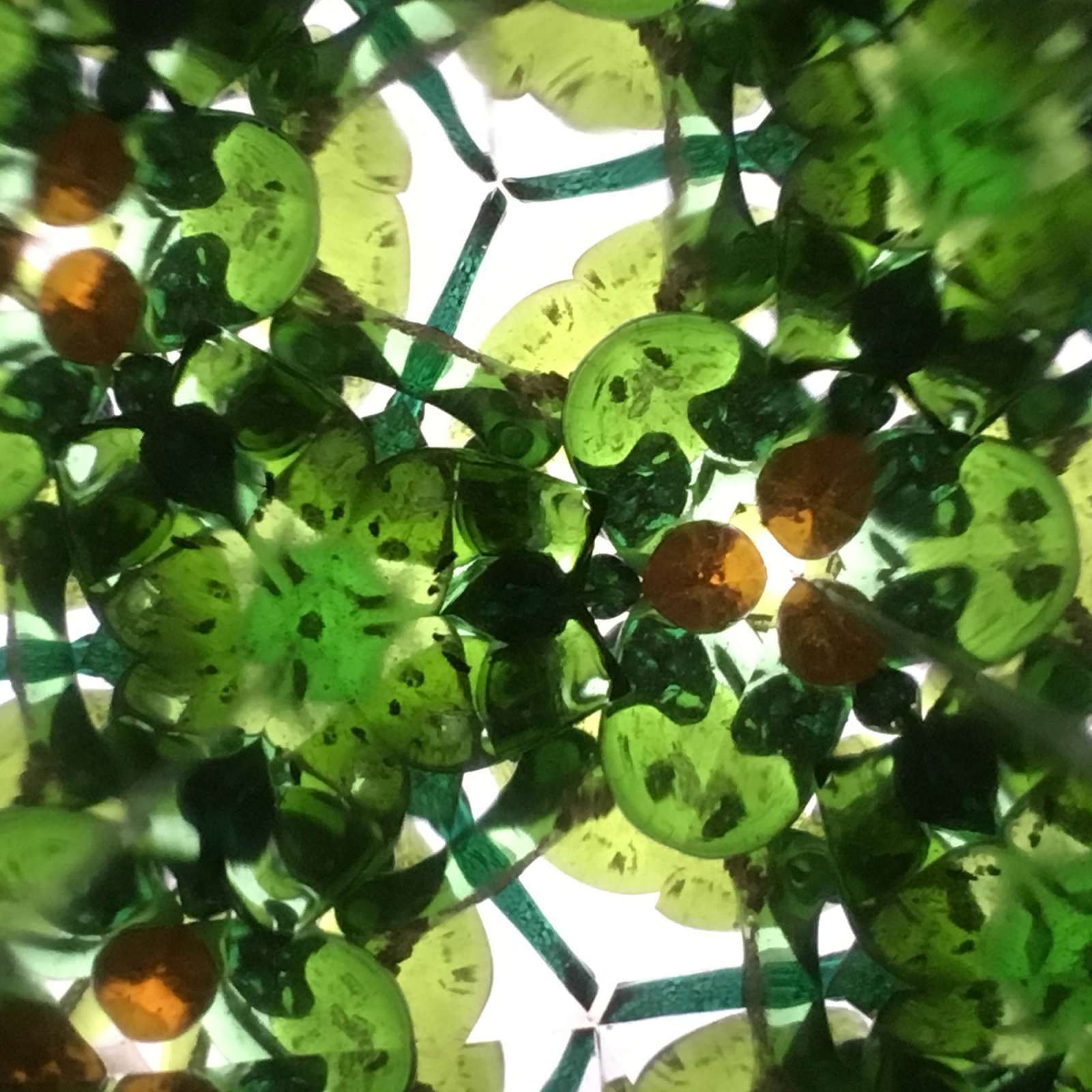 Girios kaleidoskopaS „Forest kaleidoscope“