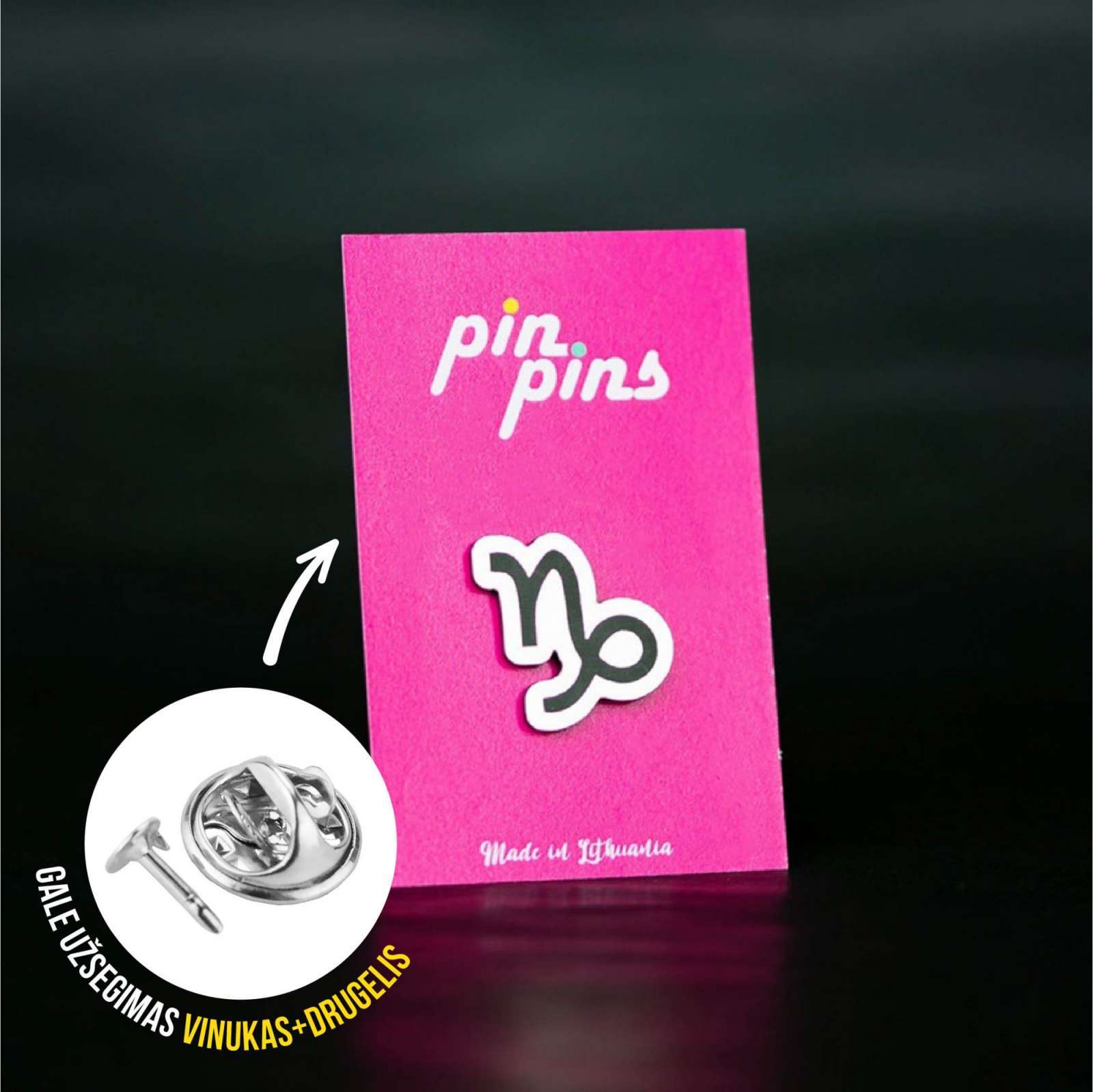 Ožiaragis zodiakas Pin ženkliukas sagė