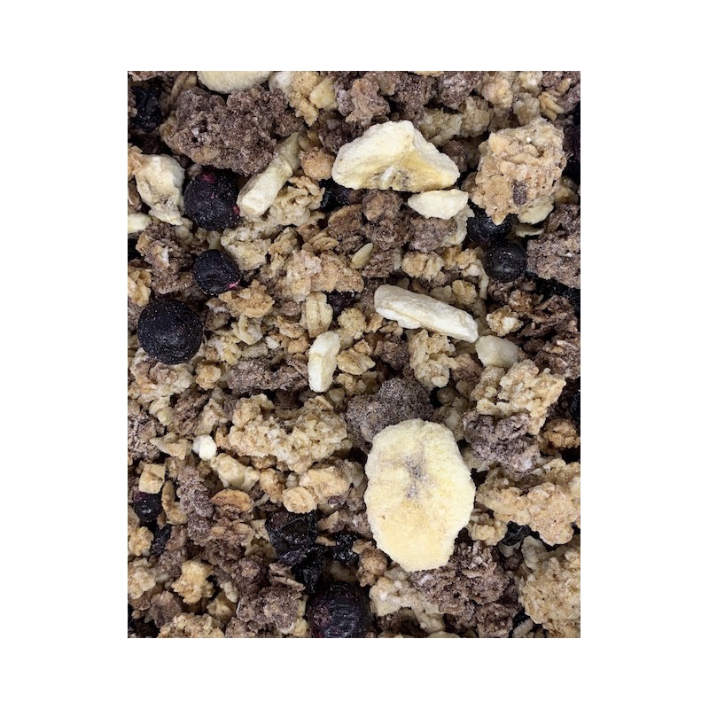 GRANOLA SU SERBENTAIS IR BANANAIS NASTIA GARDEN