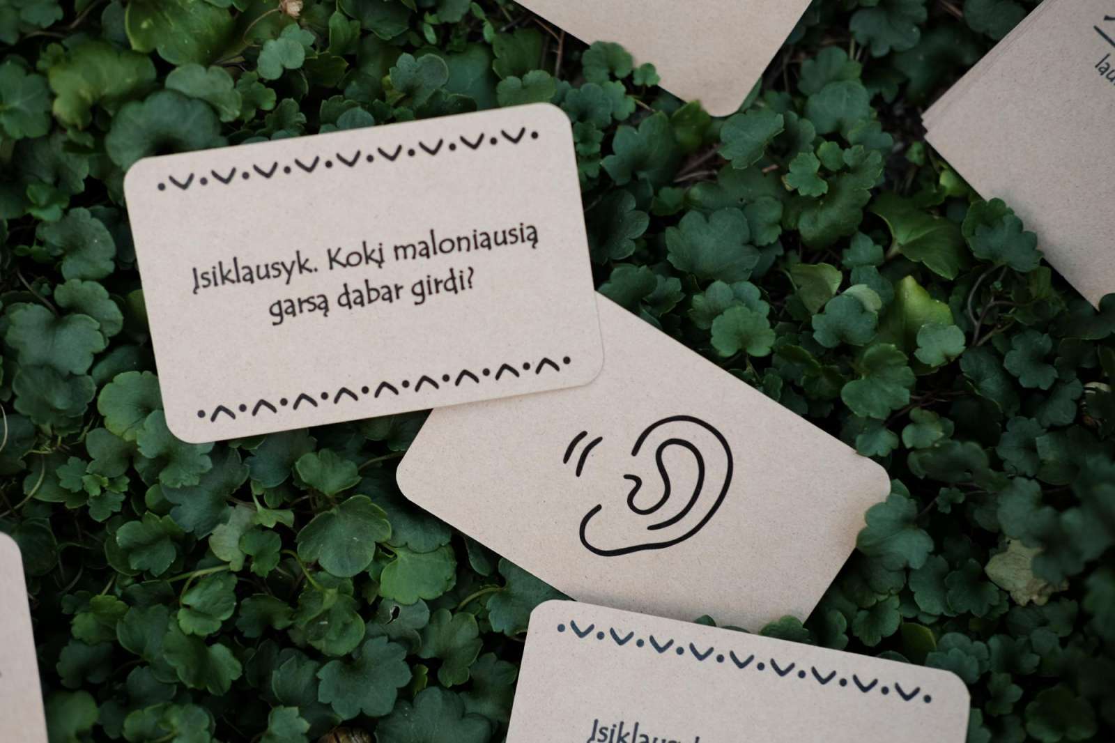 Lauko žaidimas JAUKIS - dėmesingiems pasivaikščiojimams