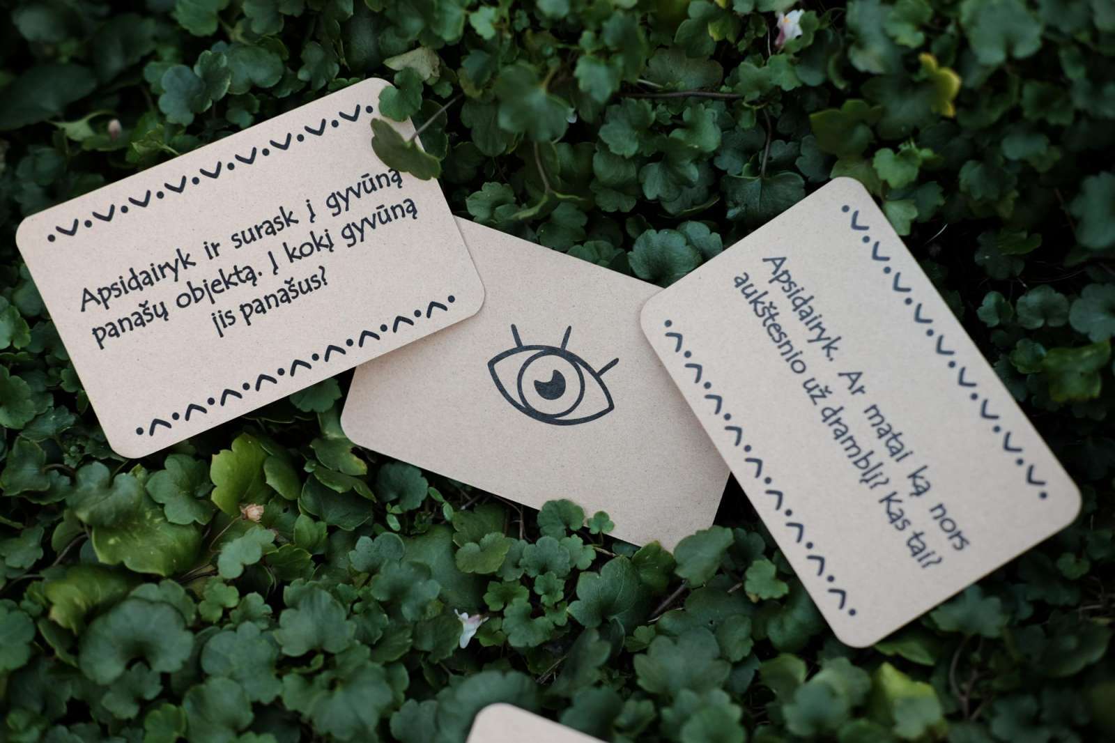 Lauko žaidimas JAUKIS - dėmesingiems pasivaikščiojimams