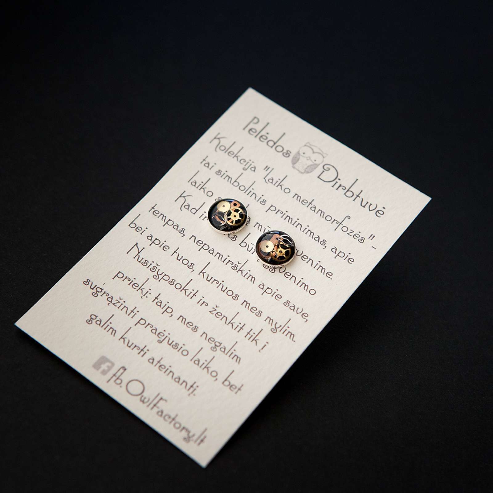 Sidabriniai auskarai „Laiko Metamorfozės“ (8mm)