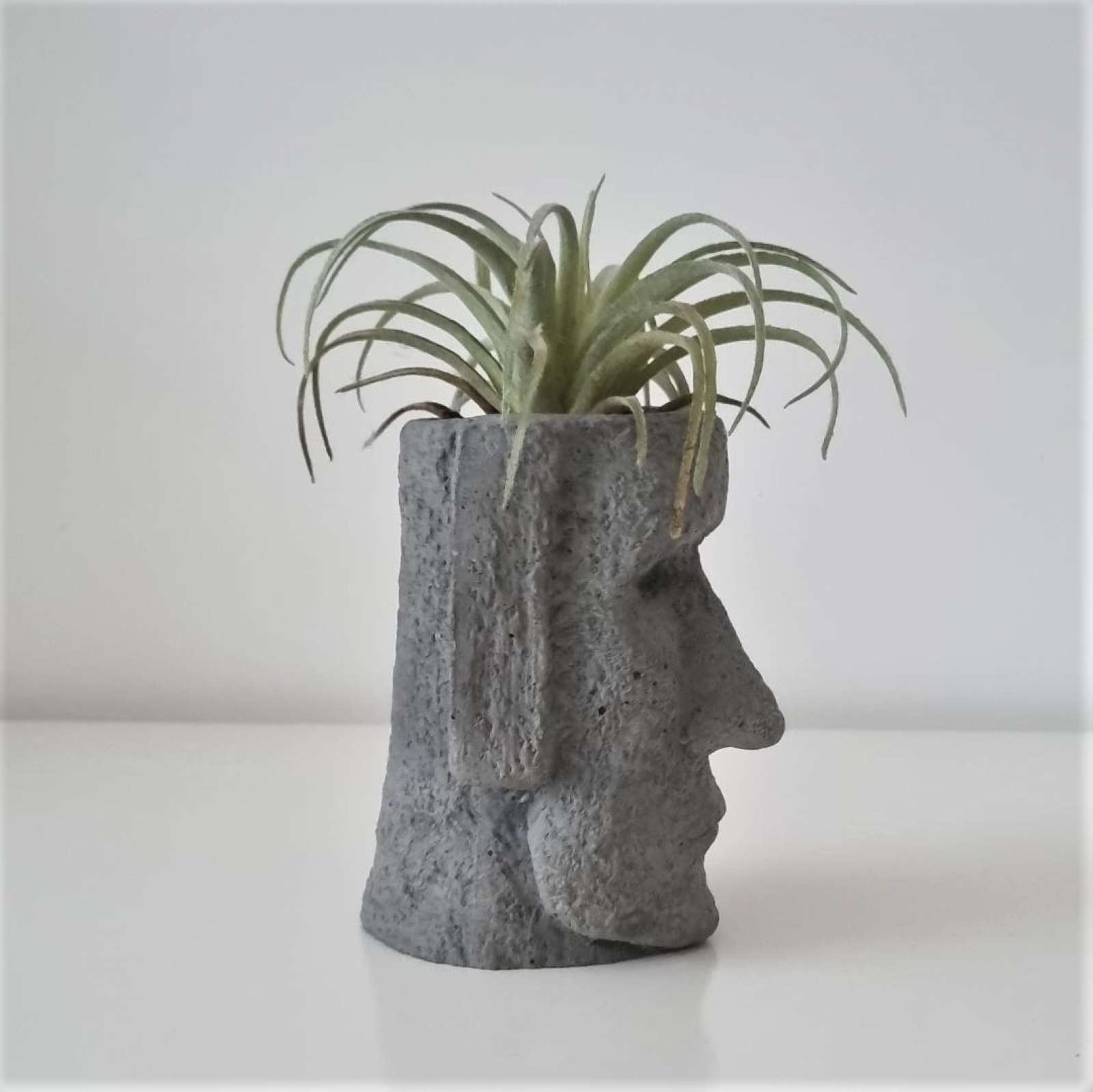 Pieštukinė-vazonas „Moai“