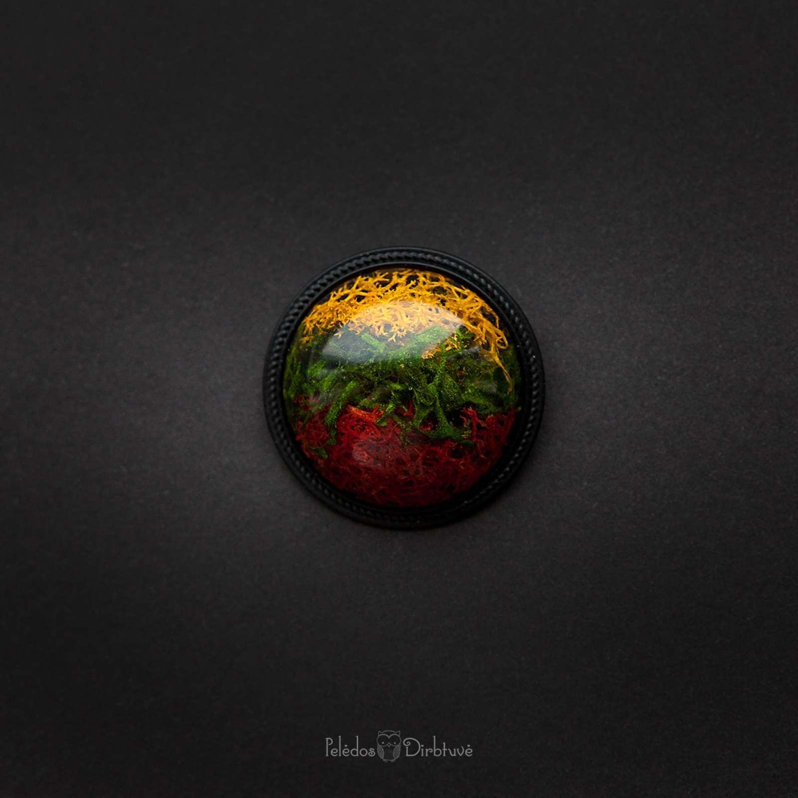Sagė „Mūsų Trispalvė“ (37mm)