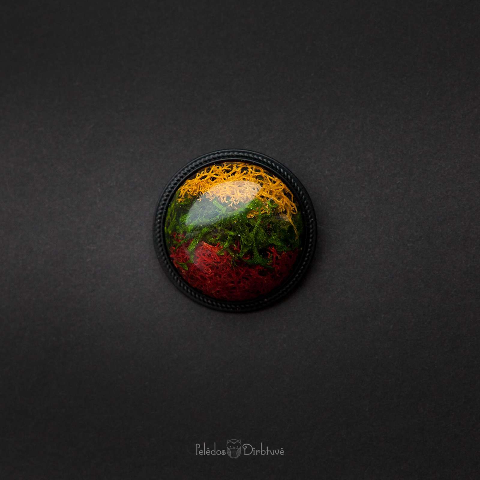 Sagė „Mūsų Trispalvė“ (37mm)