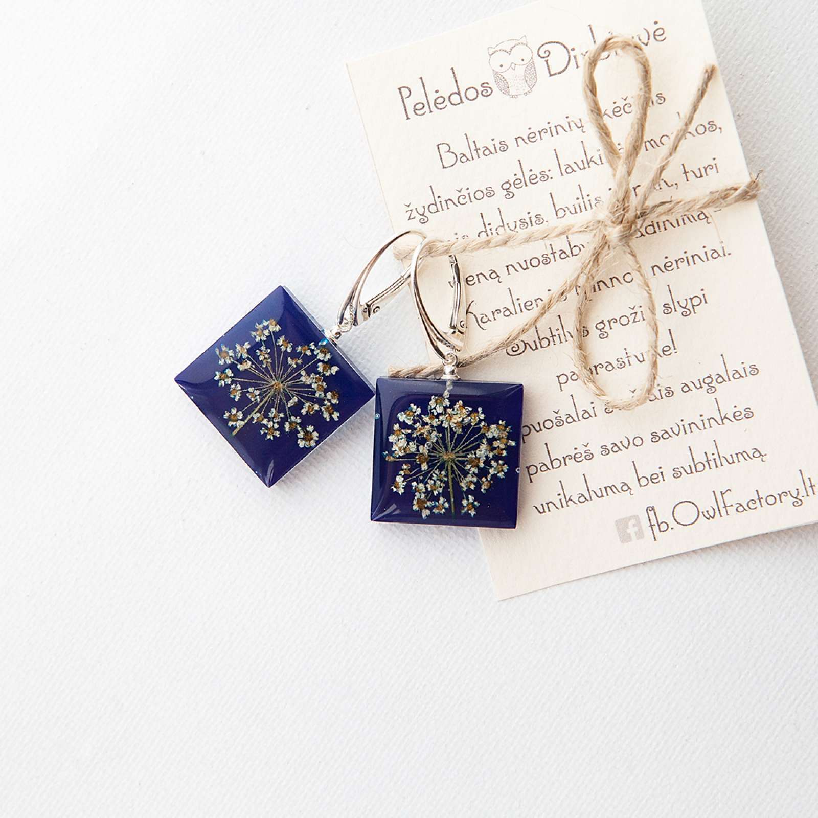 Sidabriniai kvadratiniai auskarai „Blue Queen“