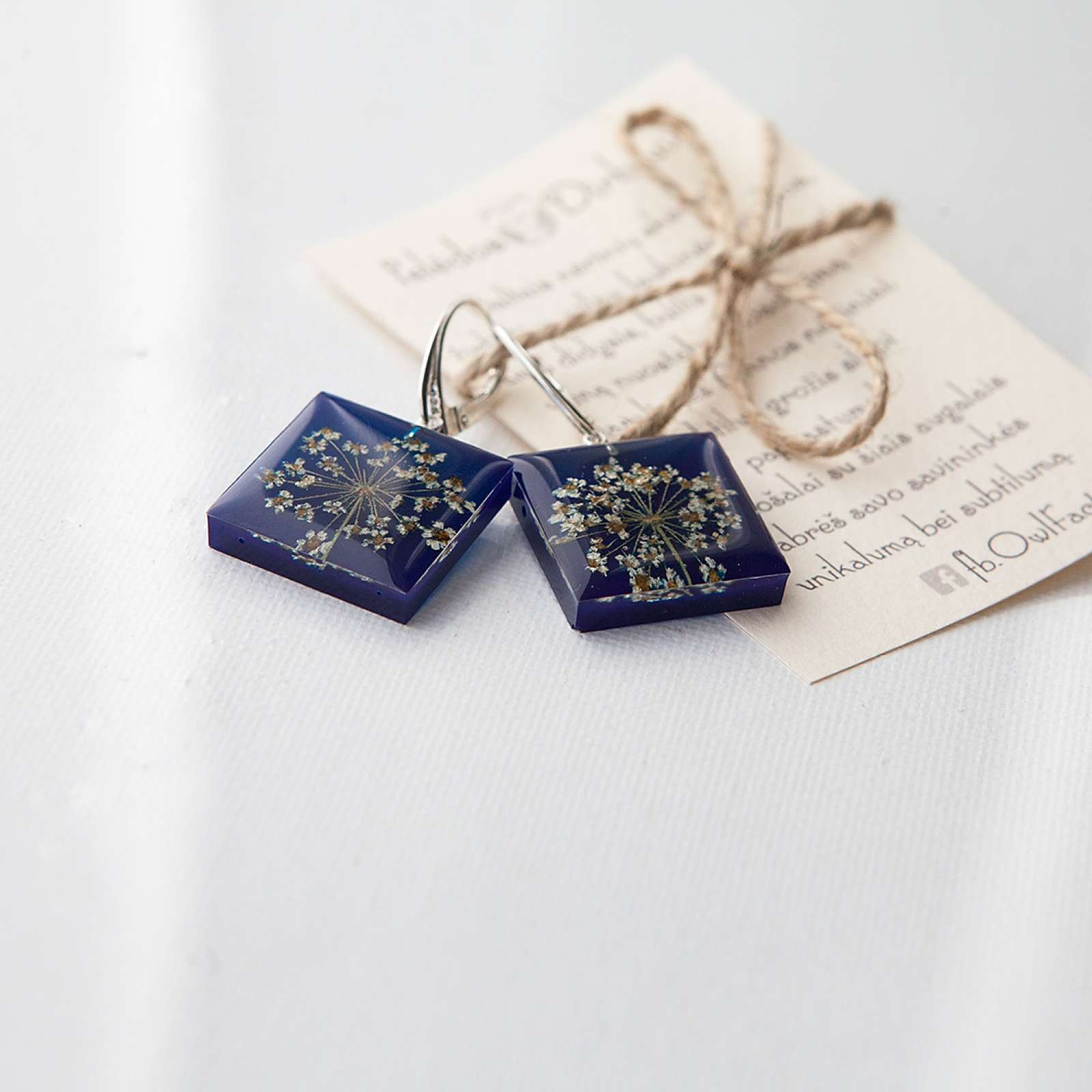 Sidabriniai kvadratiniai auskarai „Blue Queen“