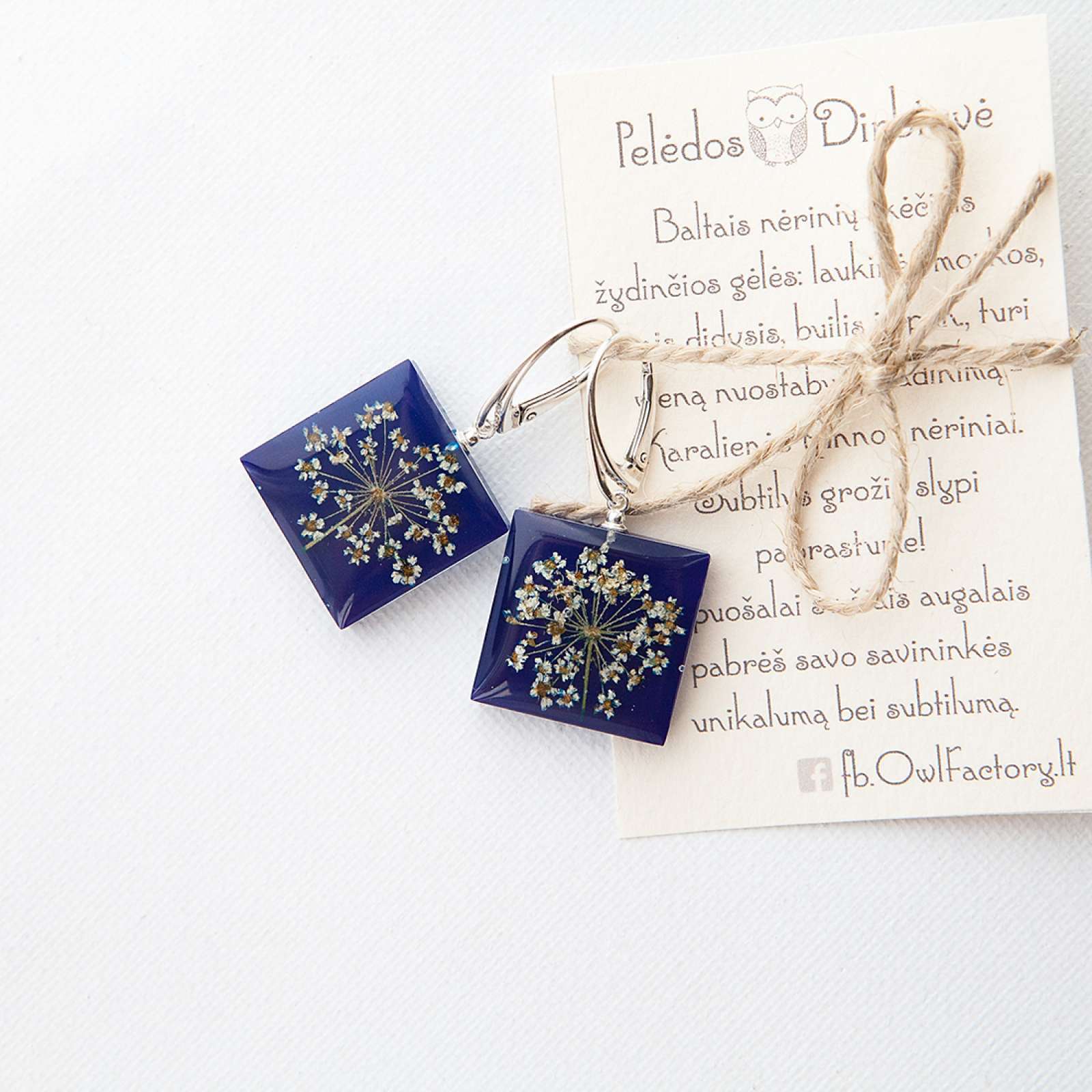 Sidabriniai kvadratiniai auskarai „Blue Queen“