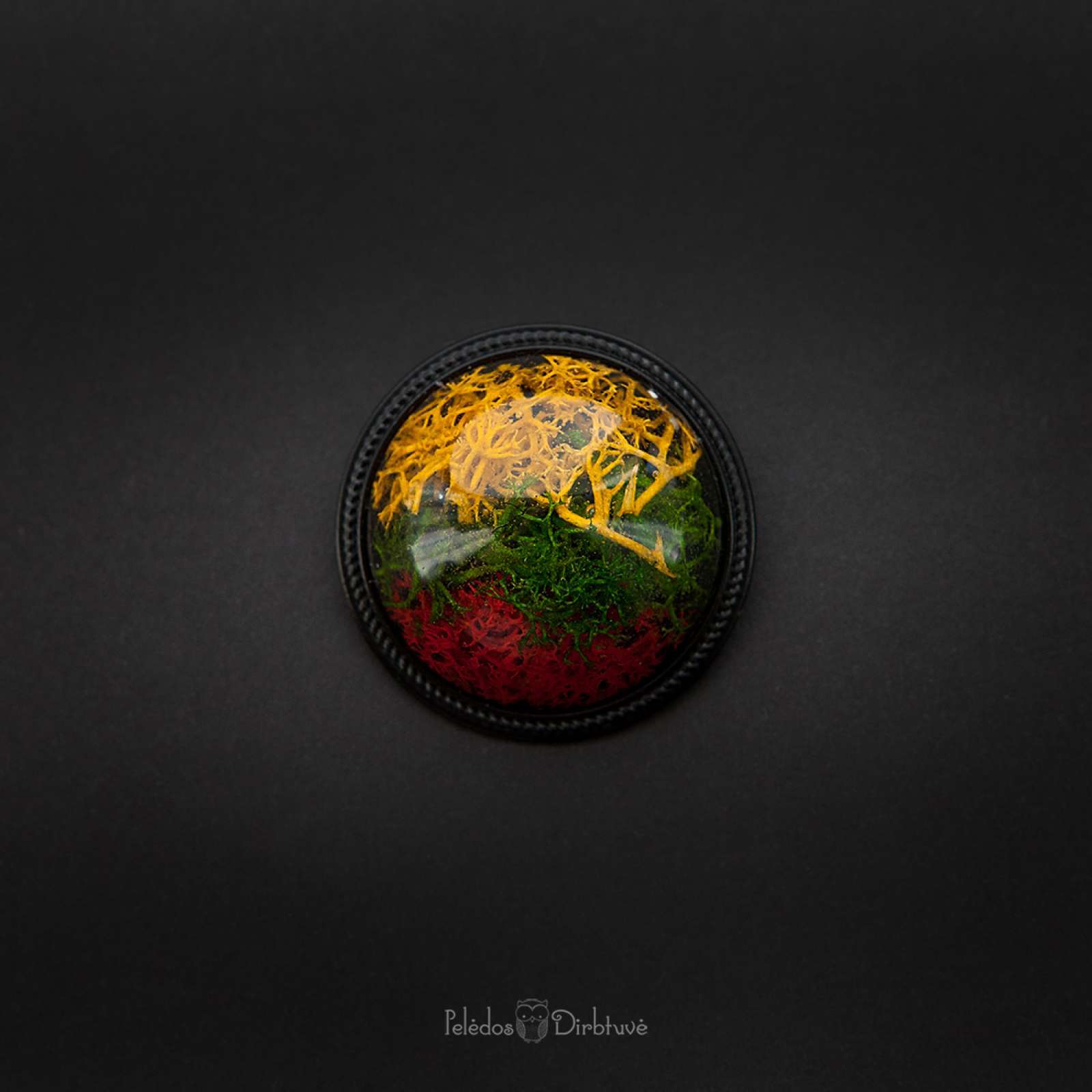 Sagė „Mūsų Trispalvė“ (37mm)