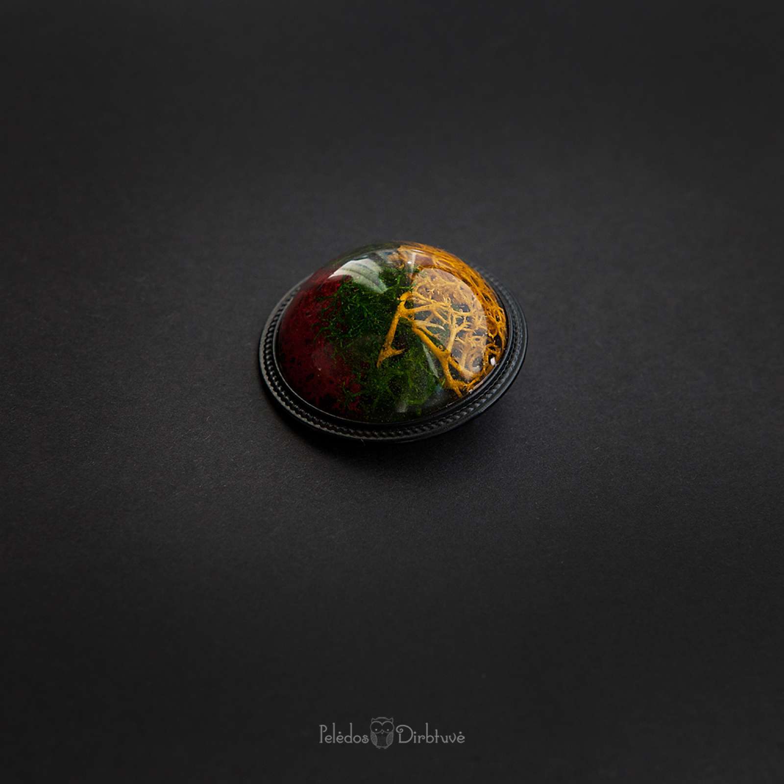 Sagė „Mūsų Trispalvė“ (37mm)