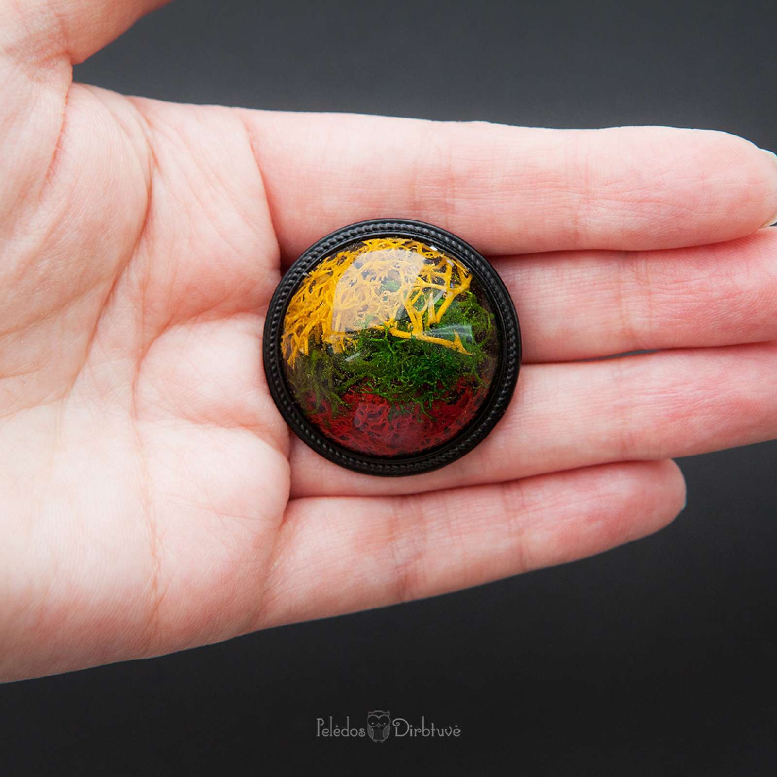 Sagė „Mūsų Trispalvė“ (37mm)