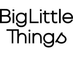 Big Little Things