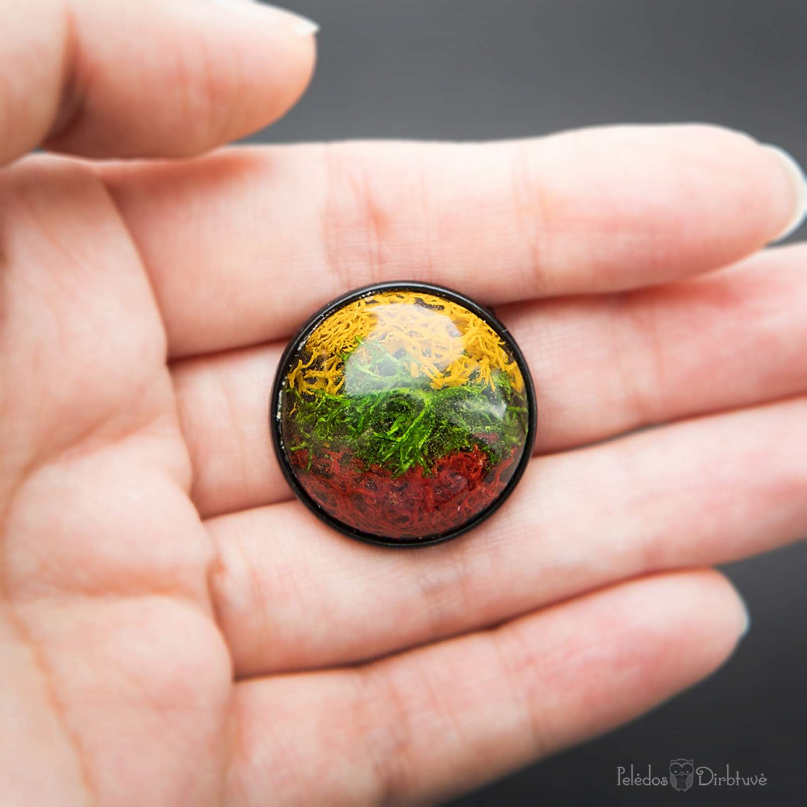 Sagė „Mūsų Trispalvė“ (27mm)