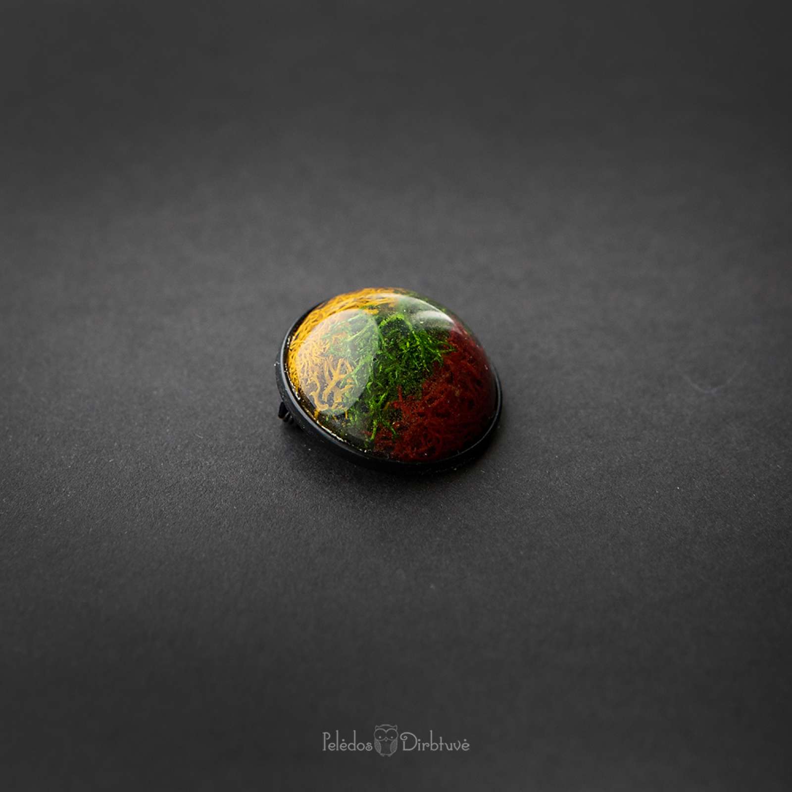 Sagė „Mūsų Trispalvė“ (27mm)