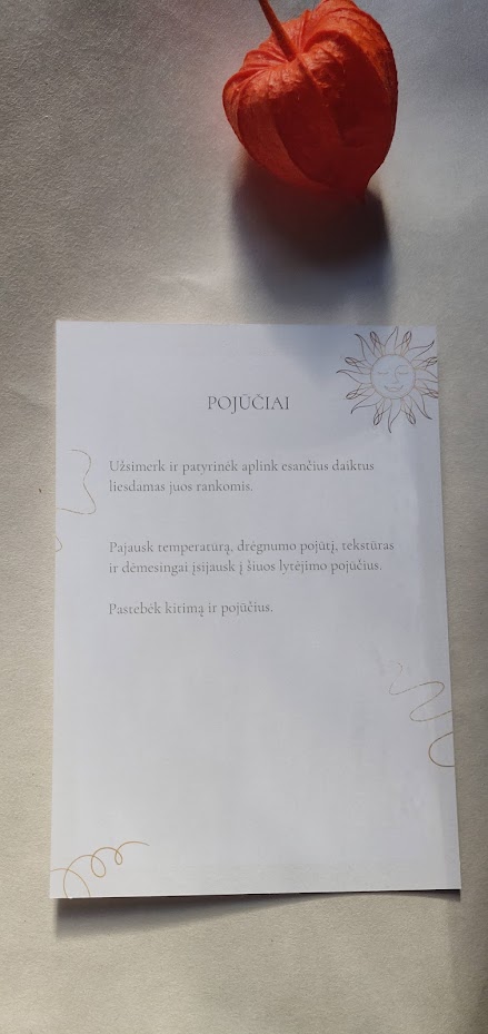Mindfulness relaksacijos kortelės /loginis žaidimas Proto spa