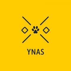 Ynas Home