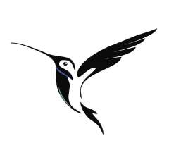 Spalvotas kolibris