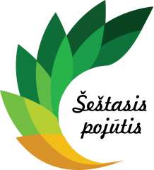 Šeštasis pojūtis