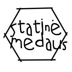 Statinė medaus