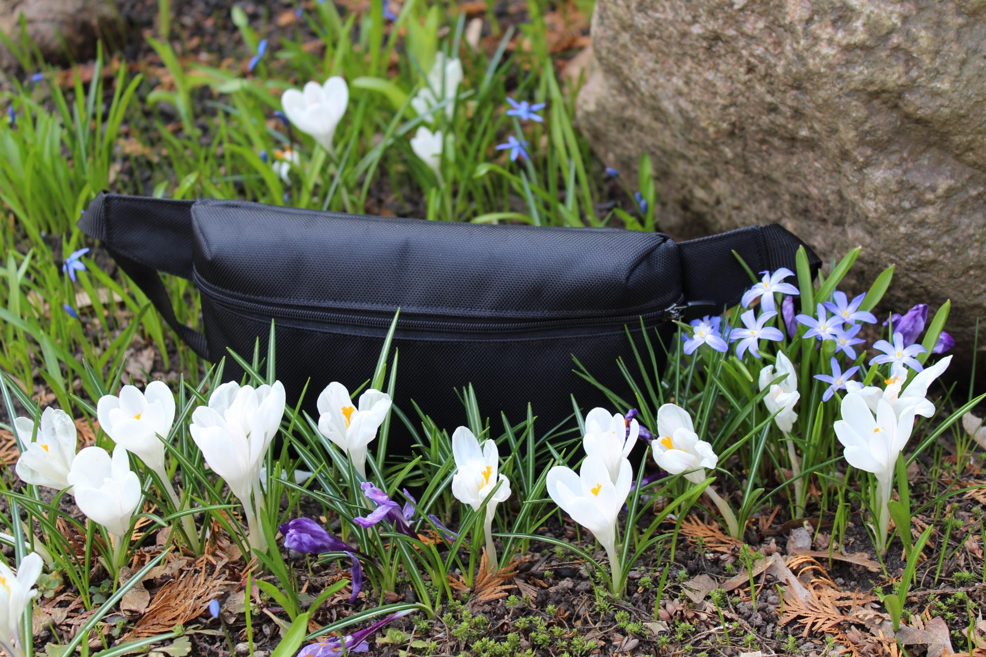 Rankinė ''Fanny pack ''