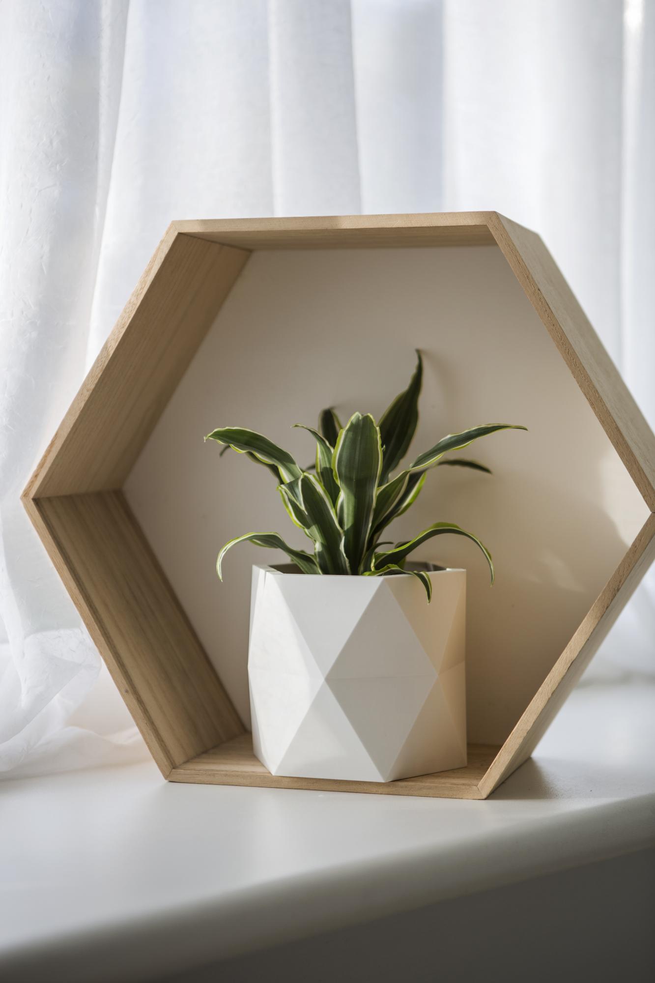 Vazonų rinkinys „Geometrinis“, matinė balta