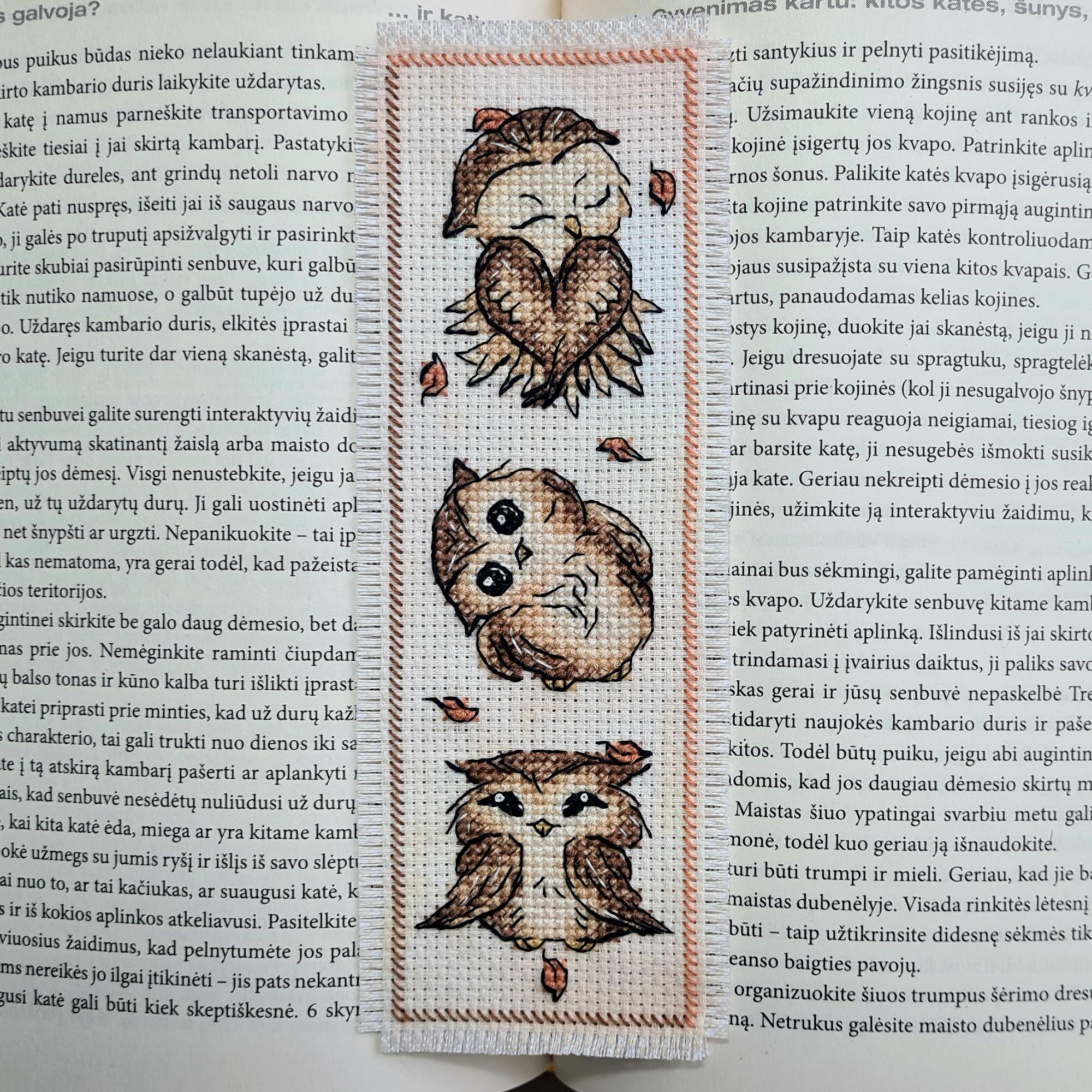 Knygos skirtukas „Trys pelėdžiukai“