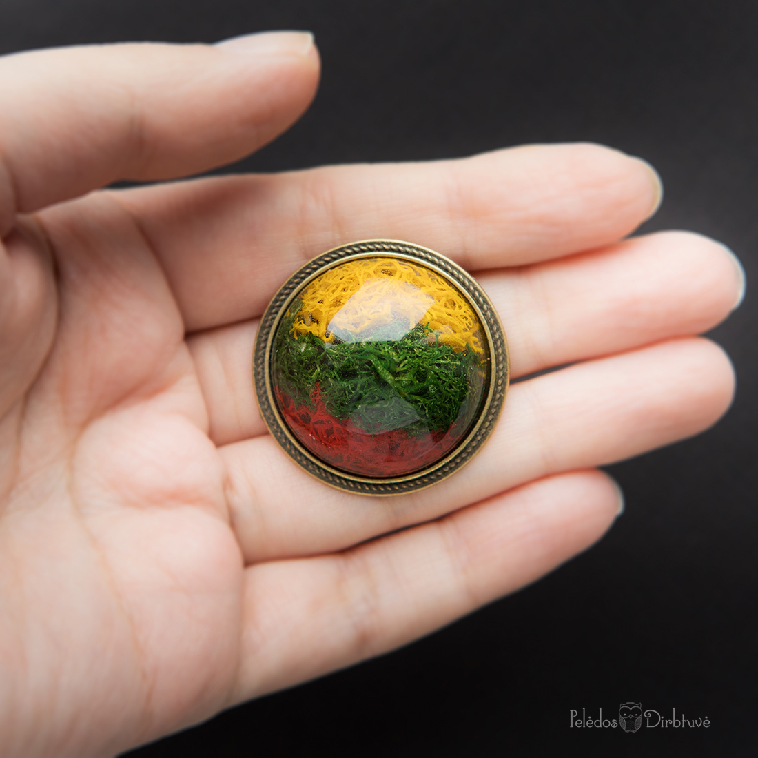 Sagė „Mūsų Trispalvė“ (37mm) (Žalvario spalvos rėmelis)
