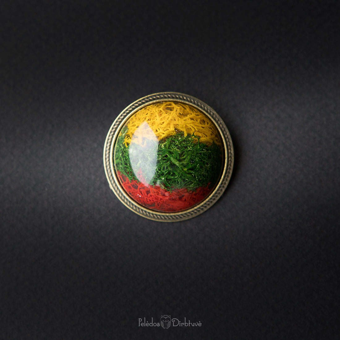 Sagė „Mūsų Trispalvė“ (37mm) (Žalvario spalvos rėmelis)