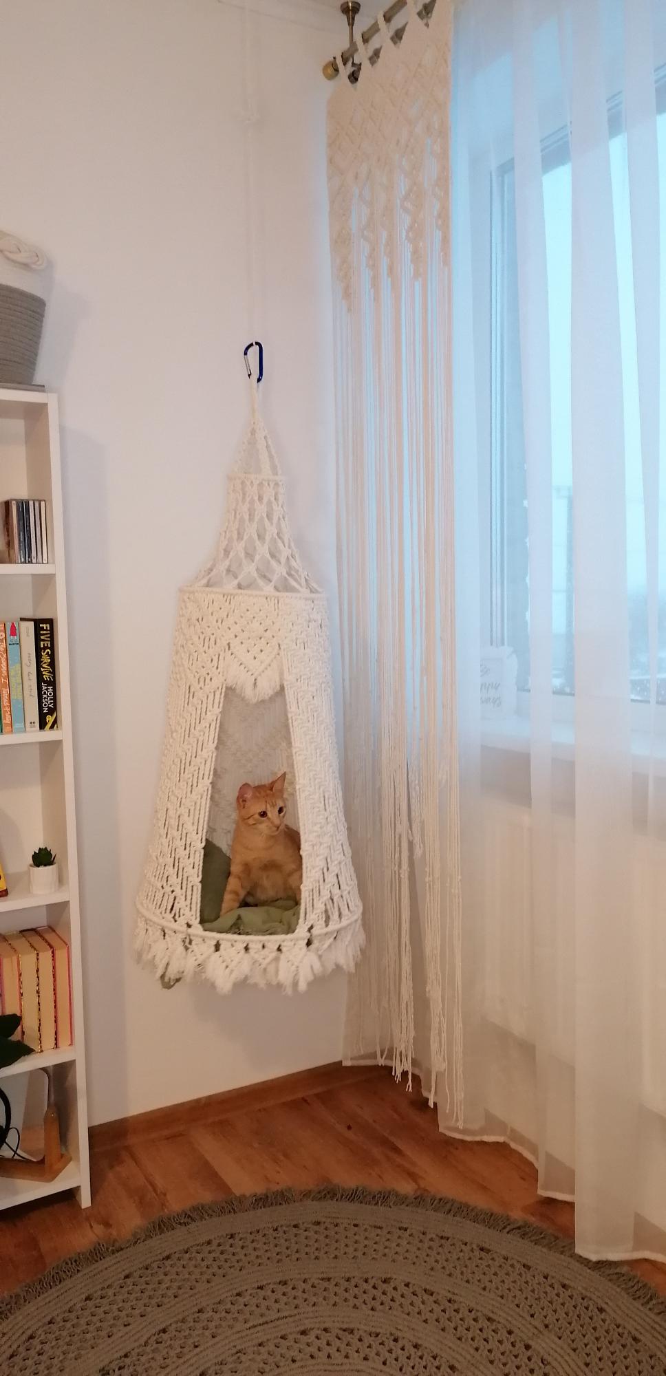 Katino hamakas