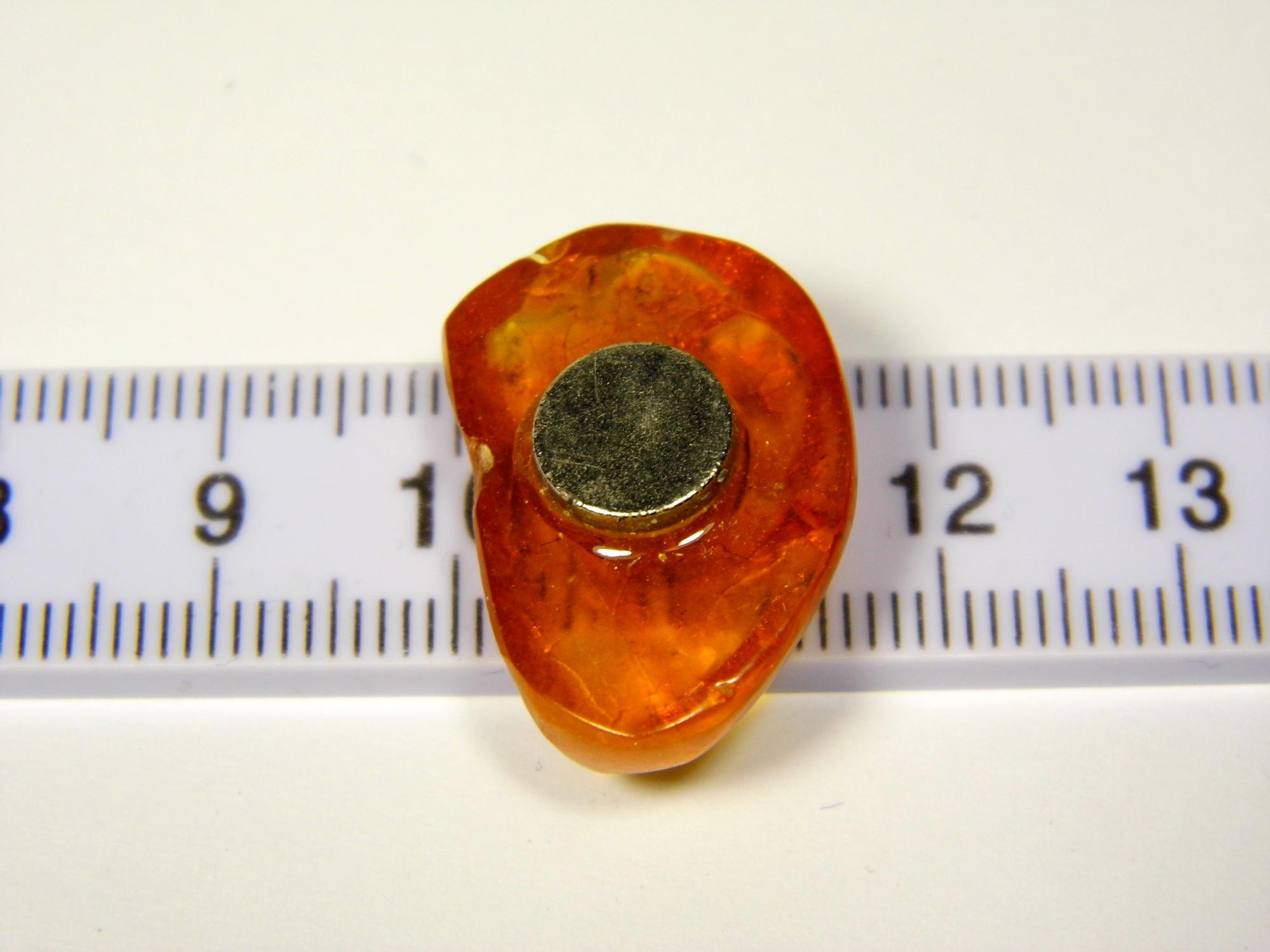 Magnetukas su gintaru. Suvenyras su natūraliu Baltijos gintaru. Gintarinis šaldytuvo magnetas 0451