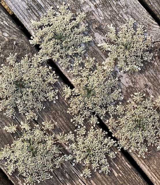 Rankų darbo gėlių žvakidė , Džiovintų gėlių vaško žvakidė, Pievų gėlių žvakidė, Natūralus namų dekoras, Gamtos įkvėptas dekoras, Namų įkurtuvių dovana
