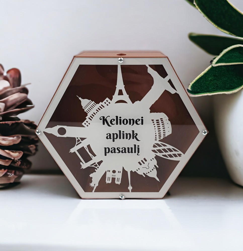 3D Taupyklė šešiakampė „Kelionei aplink pasaulį“