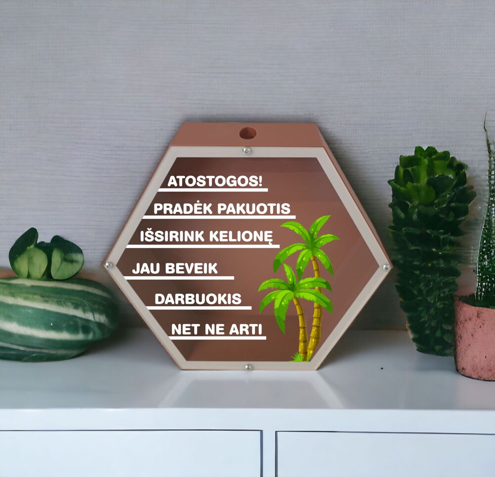3D Taupyklė šešiakampė „Atostogos“