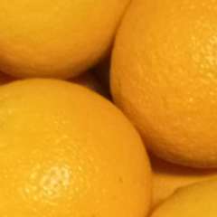 DulcoArts