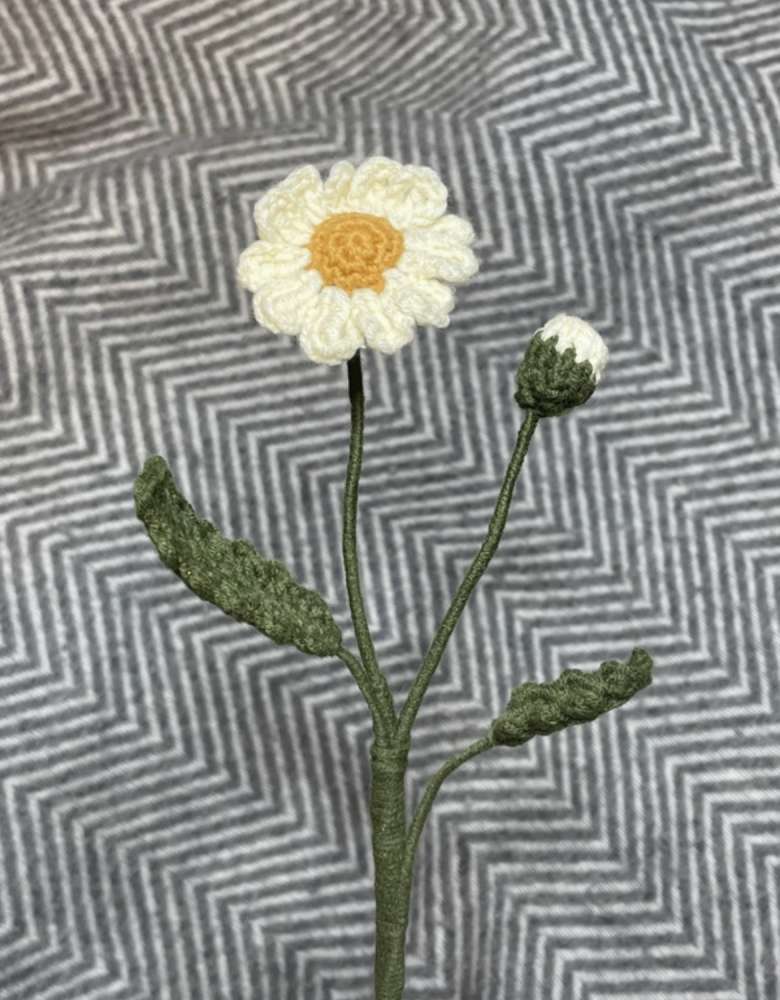 Crochet daisy / Nertos ramunės