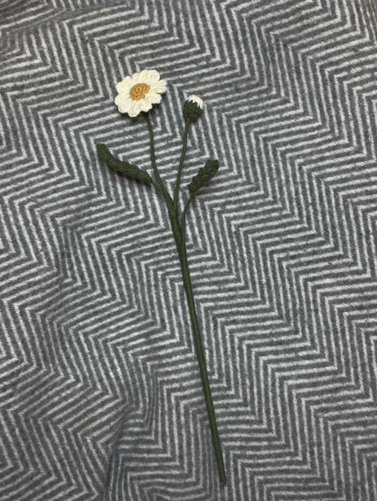 Crochet daisy / Nertos ramunės