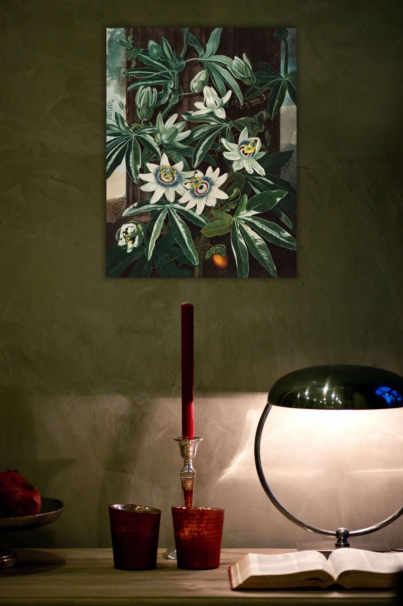 Reprodukcija „Melsvoji pasiflora“, Robert John Thornton, (1808)