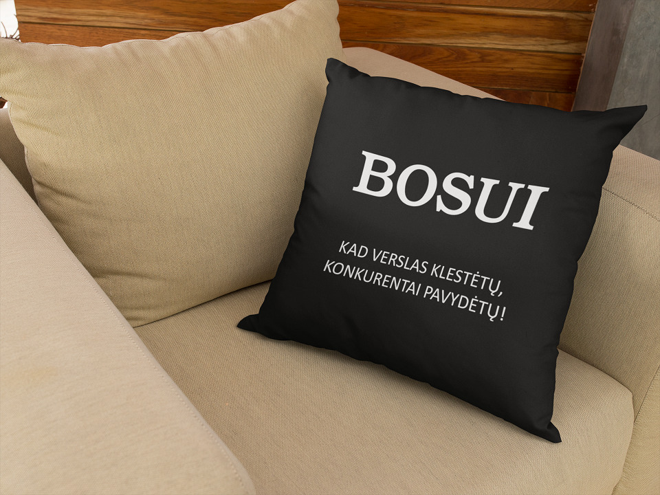 Pagalvė „Bosui“