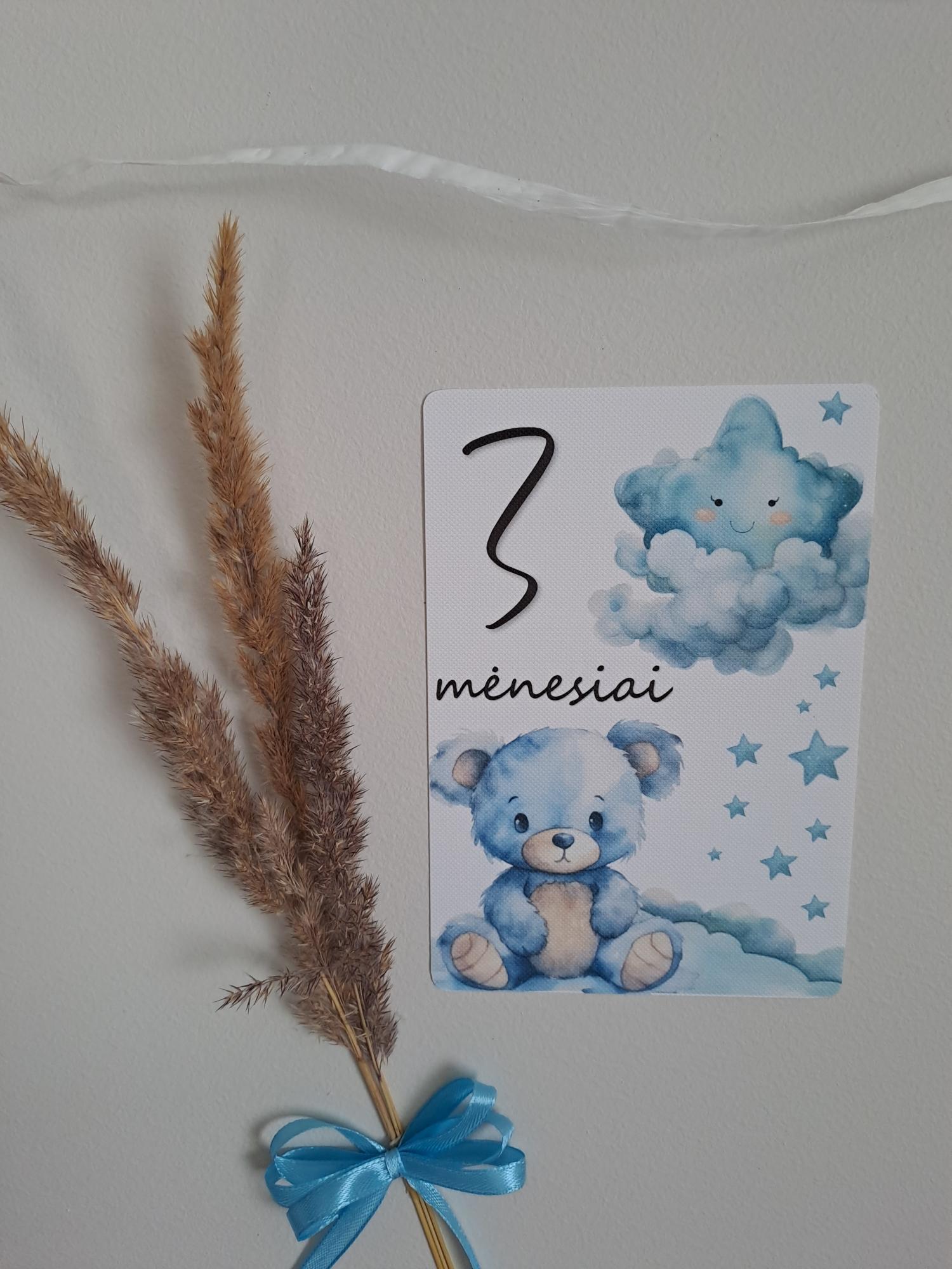Mėnesių kortelės naujagimiui MĖLYNAS MEŠKIUKAS