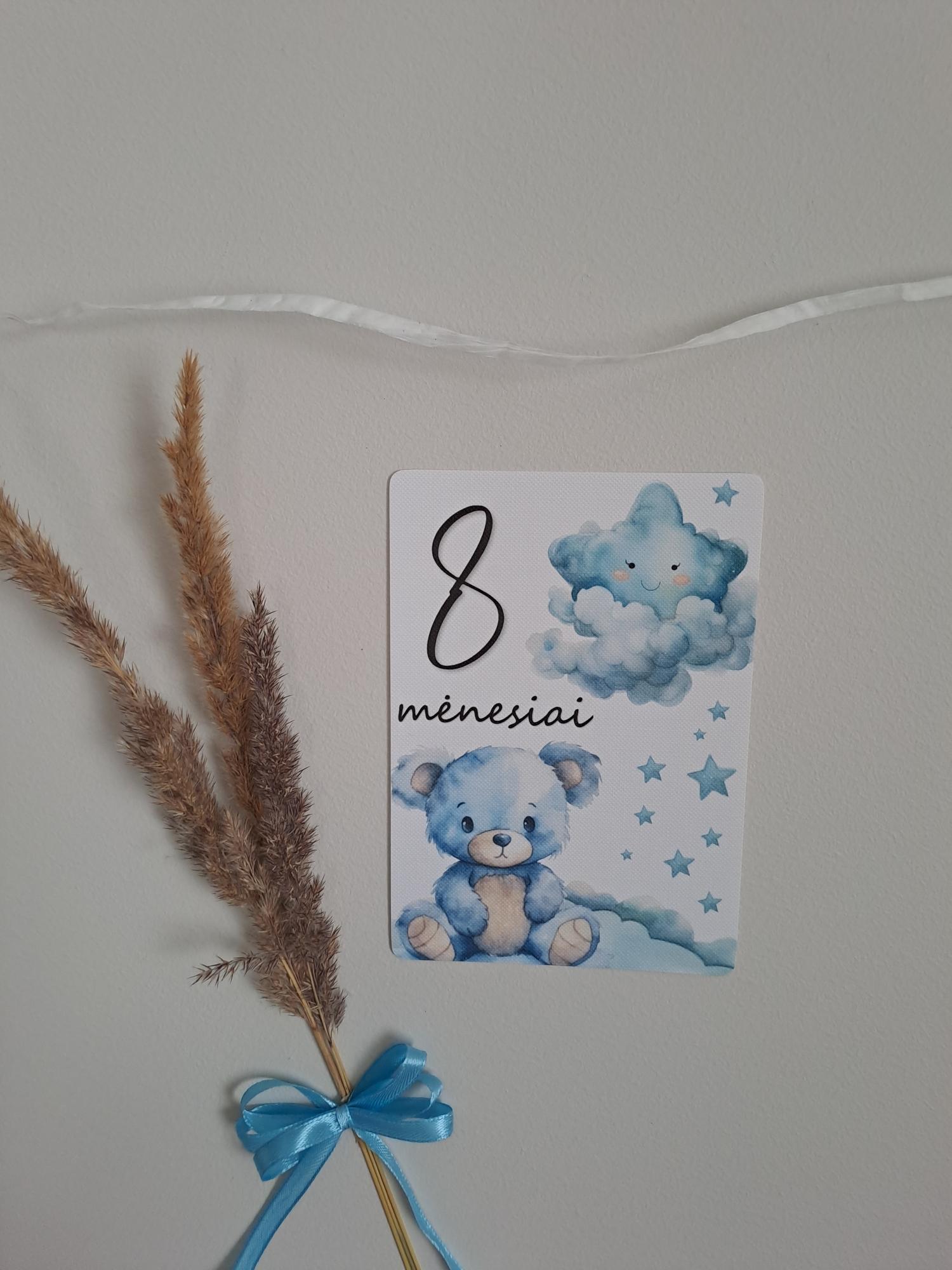 Mėnesių kortelės naujagimiui MĖLYNAS MEŠKIUKAS