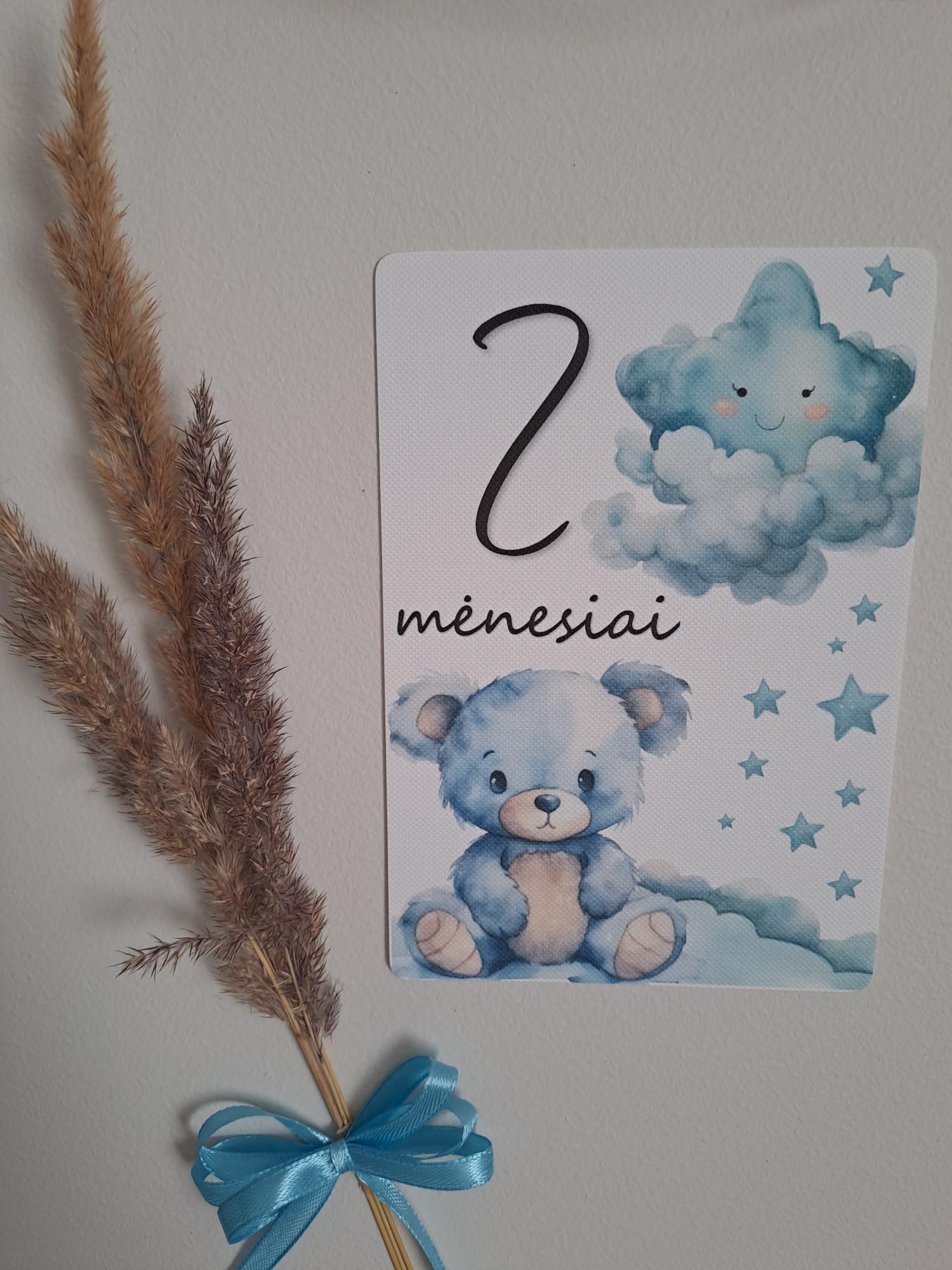 Mėnesių kortelės naujagimiui MĖLYNAS MEŠKIUKAS