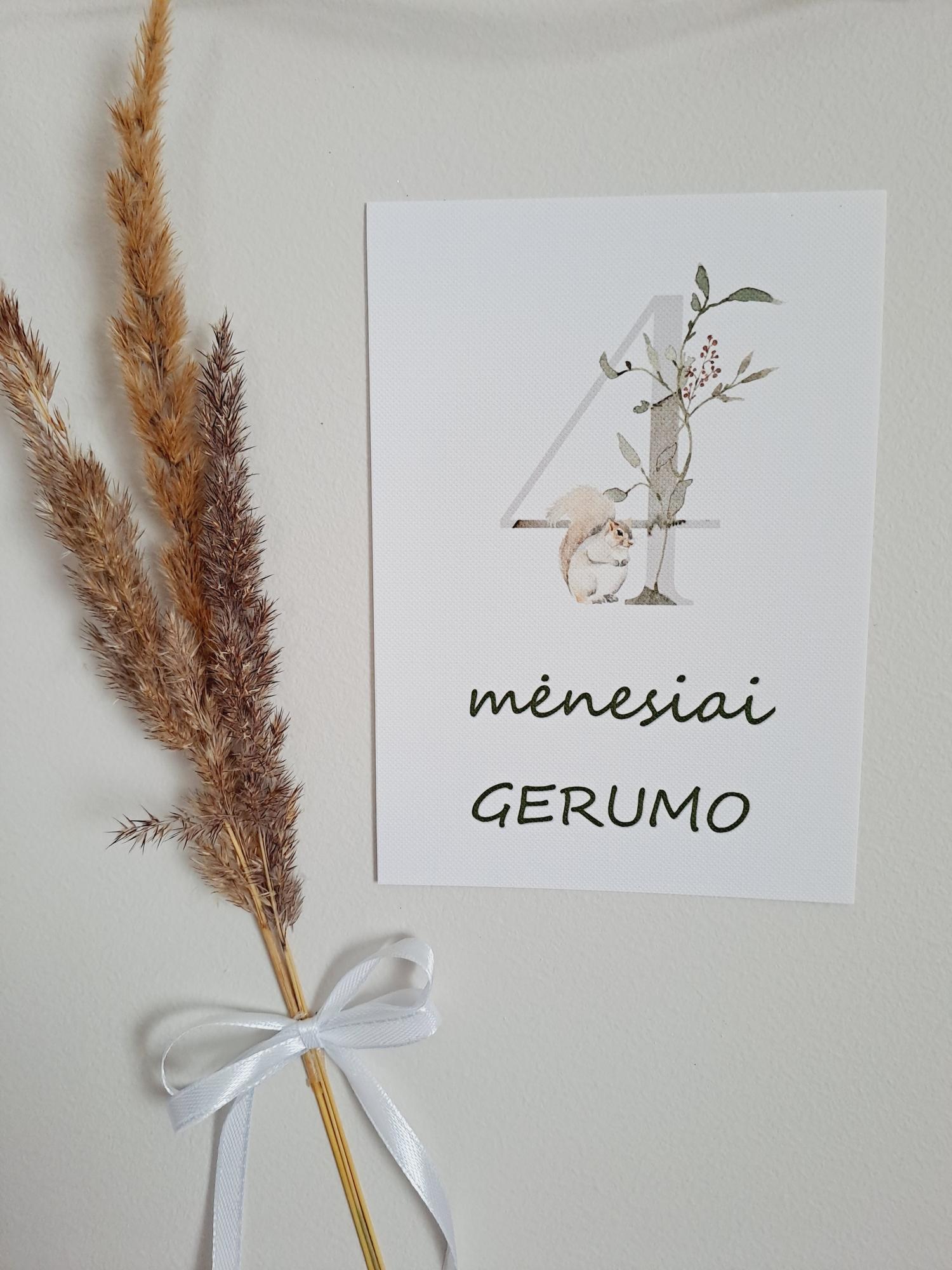 Mėnesių kortelės naujagimiui