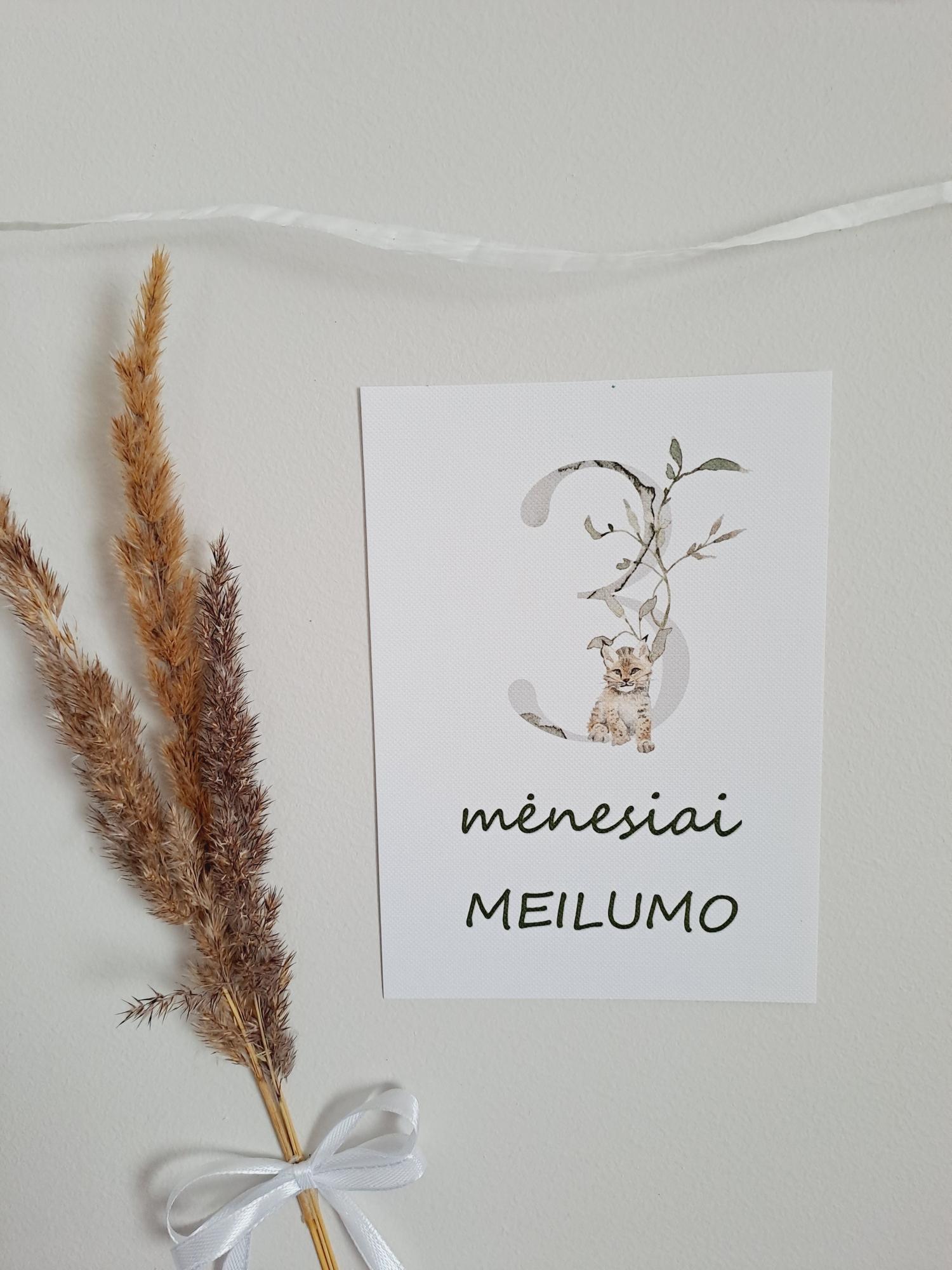 Mėnesių kortelės naujagimiui