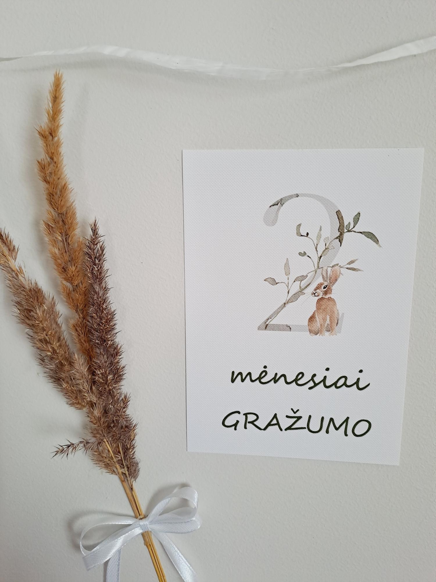 Mėnesių kortelės naujagimiui