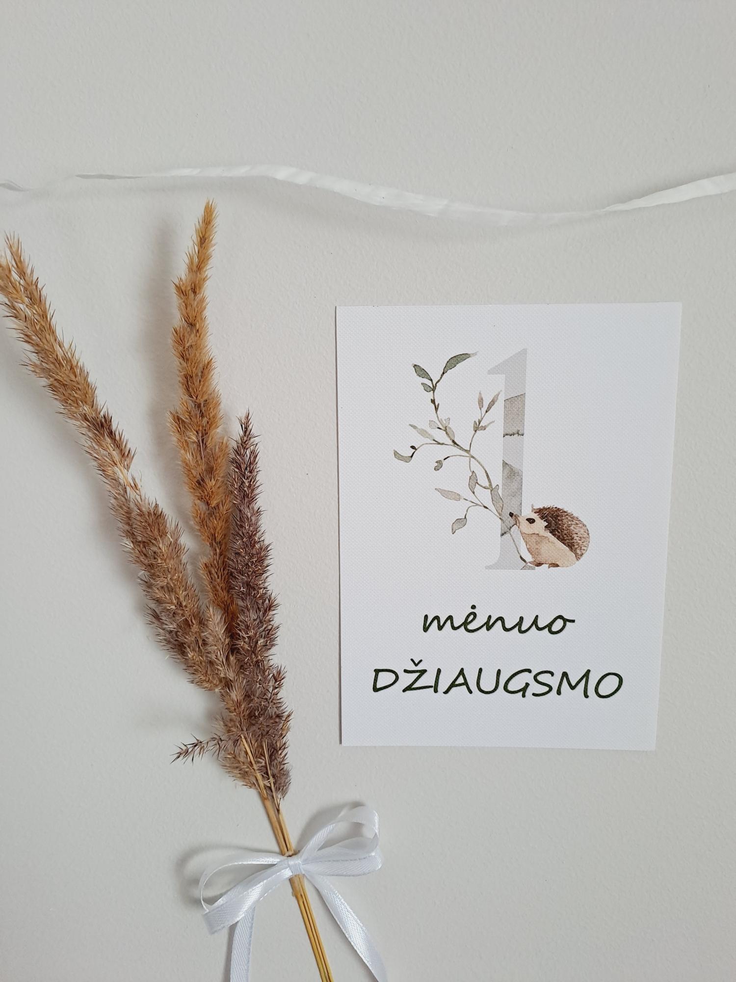 Mėnesių kortelės naujagimiui