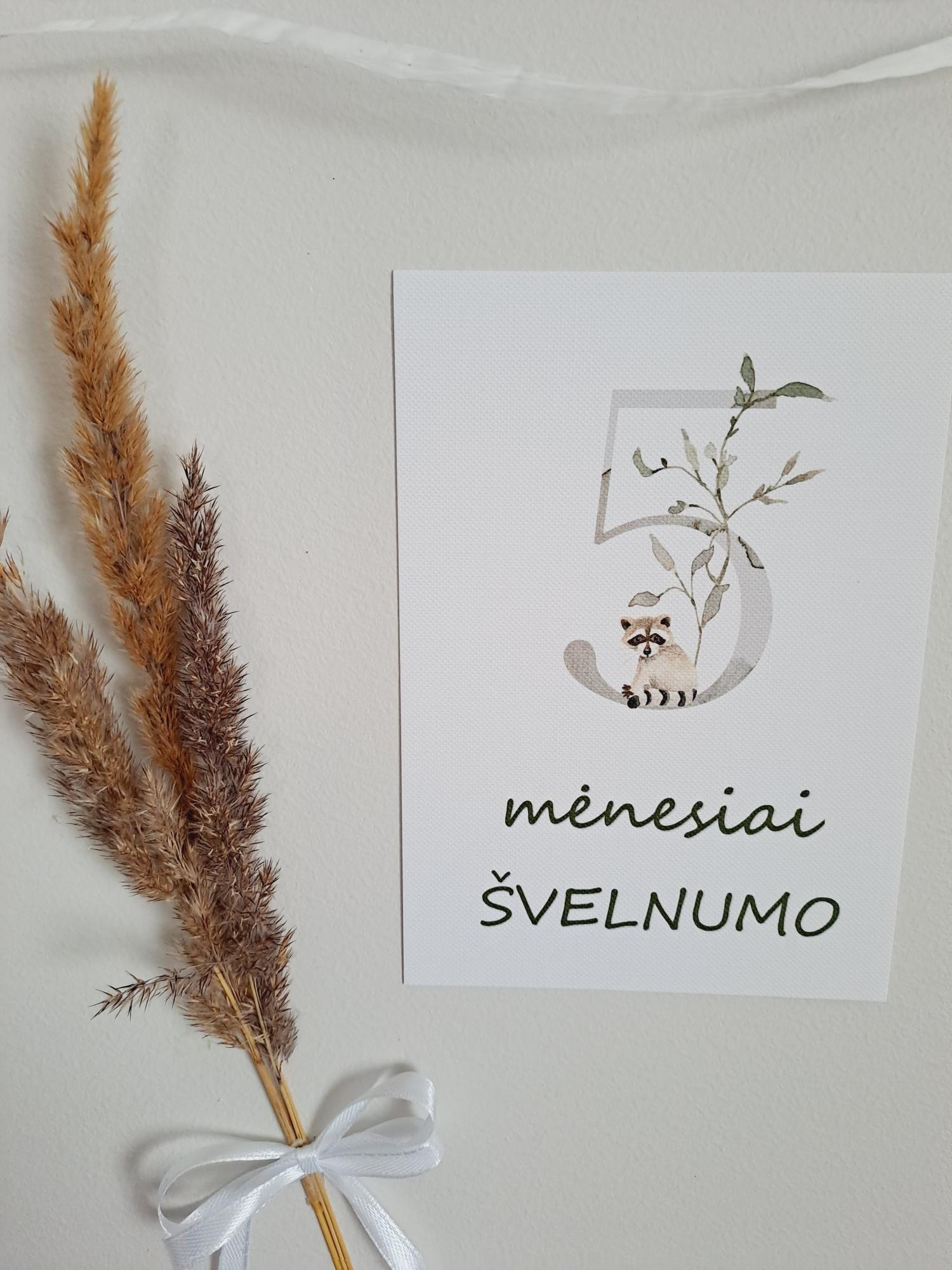 Mėnesių kortelės naujagimiui