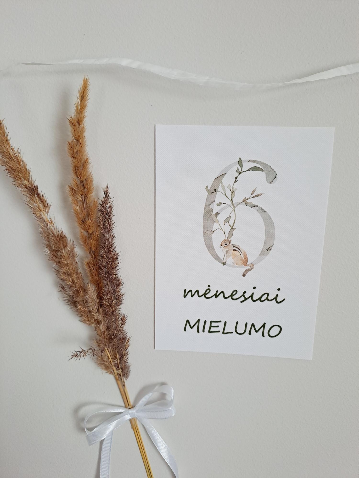 Mėnesių kortelės naujagimiui
