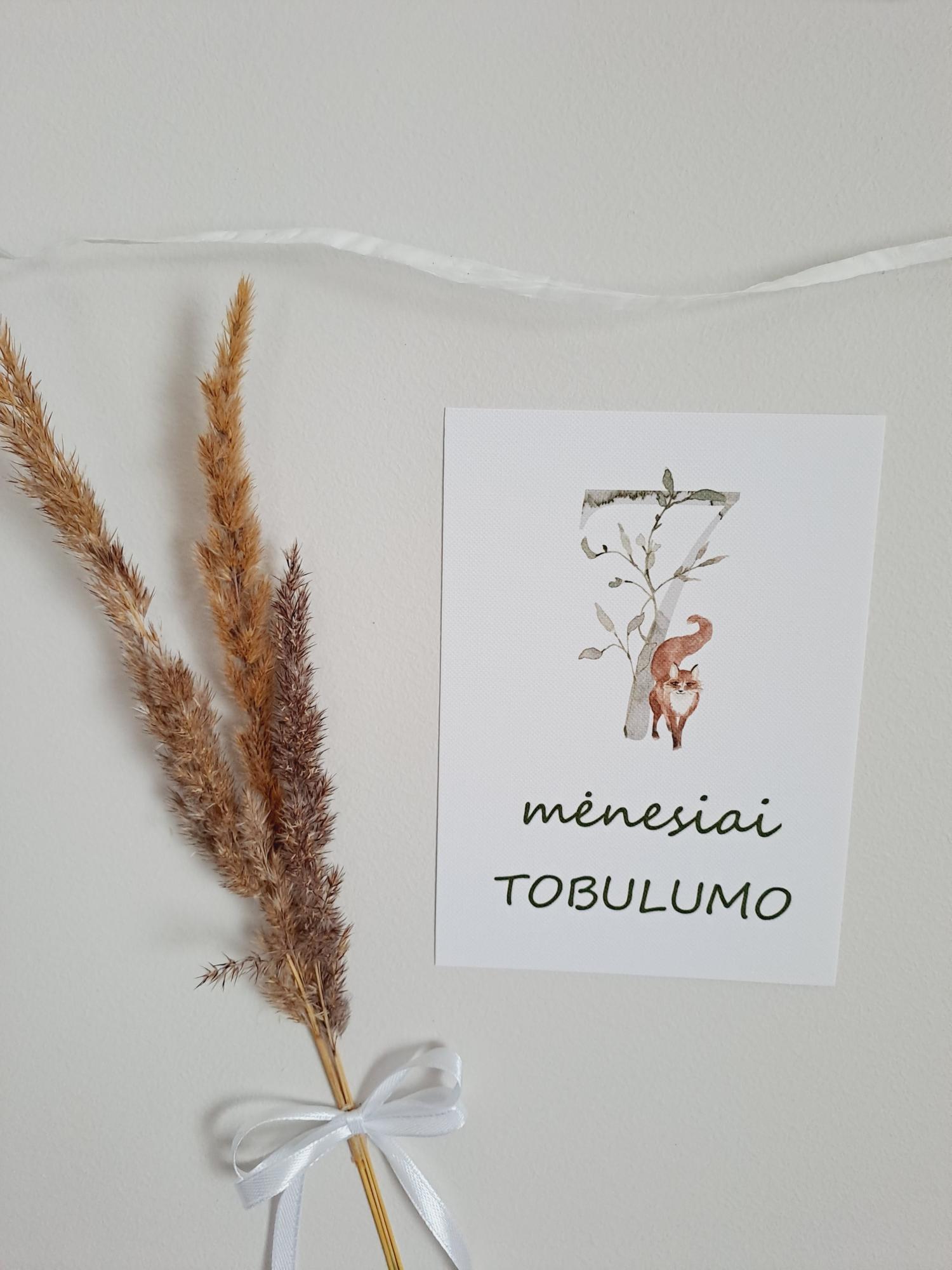 Mėnesių kortelės naujagimiui