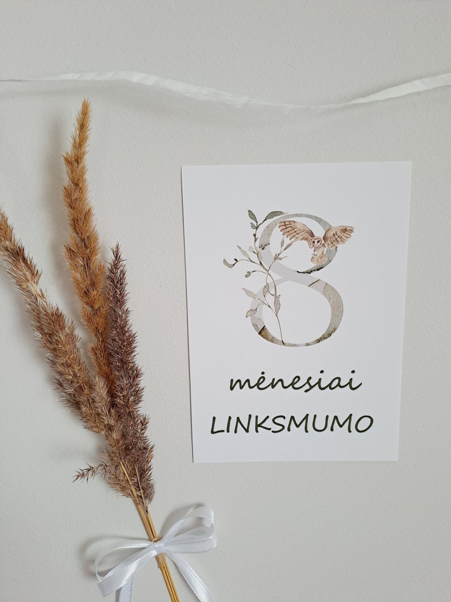 Mėnesių kortelės naujagimiui